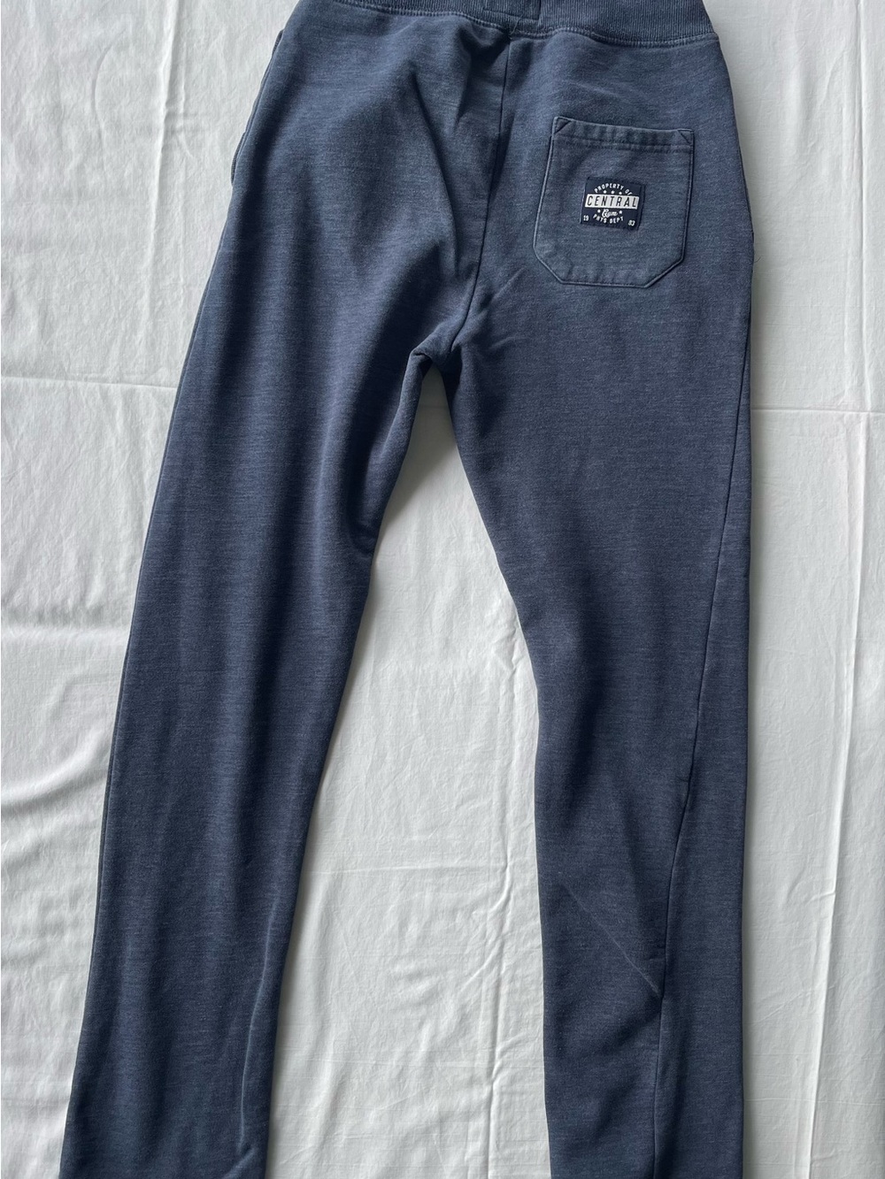 Cedarwood State Dark Navy Jogger Sweatpants